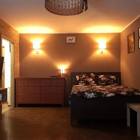 Kawalerka Stefana Zeromskiego 62 *