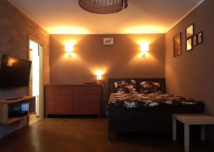 Kawalerka Stefana Zeromskiego 62 *