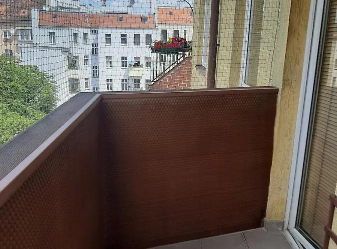 Kawalerka Stefana Zeromskiego 62 *